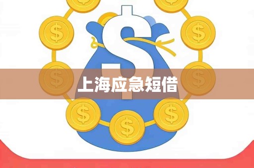 上海应急短借