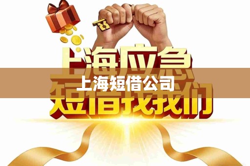 上海短借公司