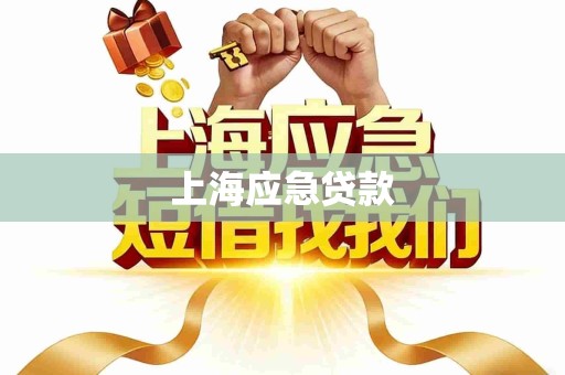 上海应急贷款